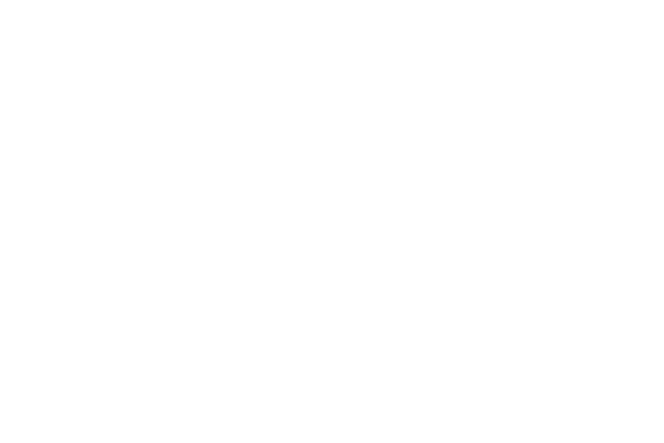 ВШЭ